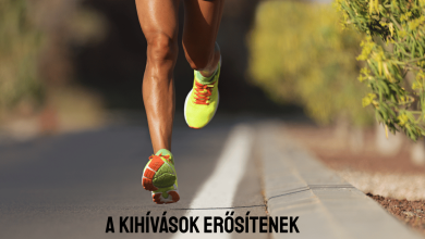 kihivasok